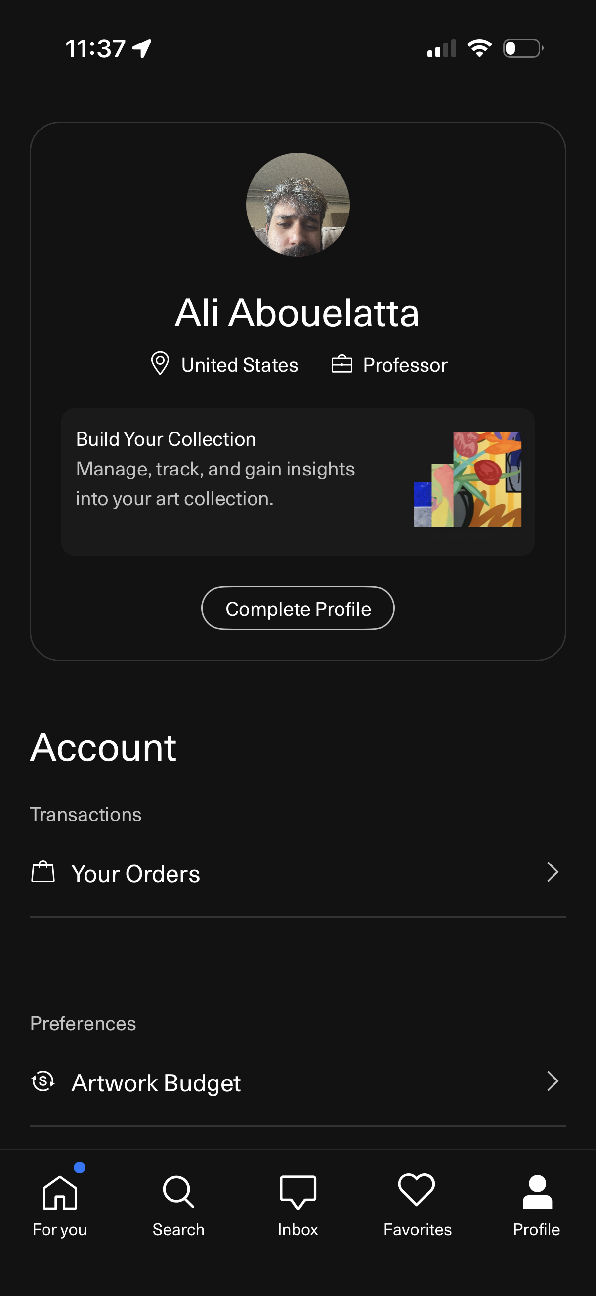 artsy profile screenshot